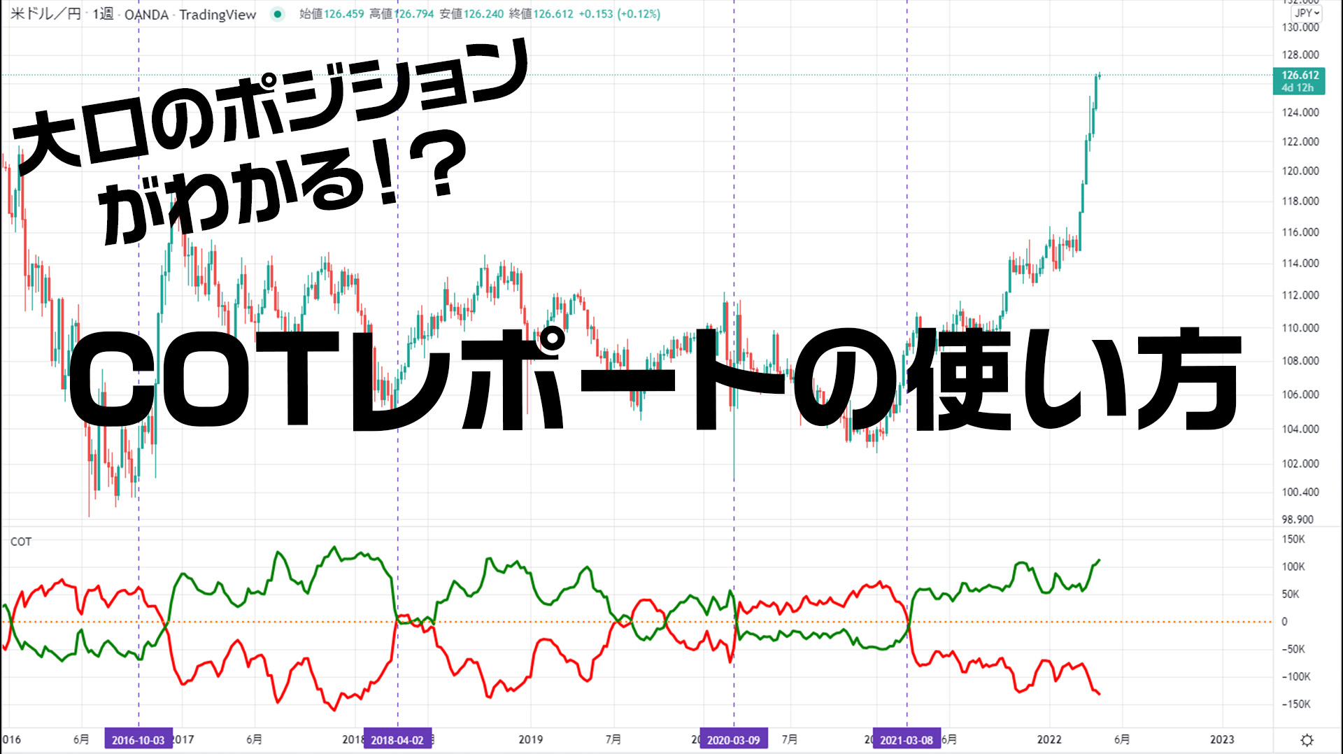 機関投資家のポジションがわかる？！COTレポートの使い方